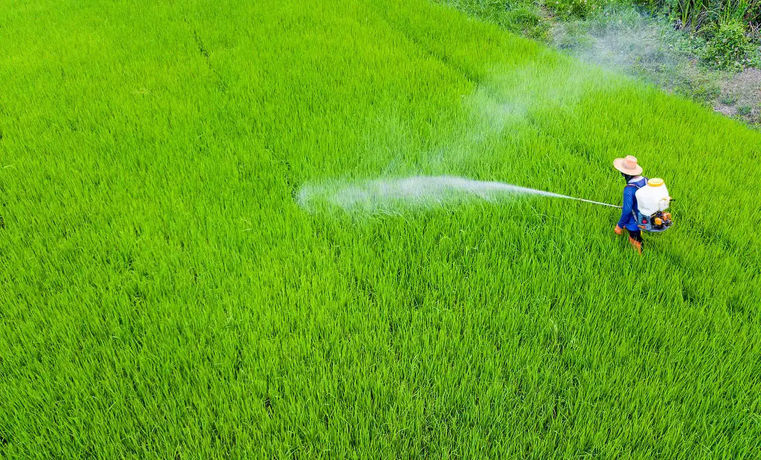 Best Fertilizer Brands for High Crop Yield in 2025